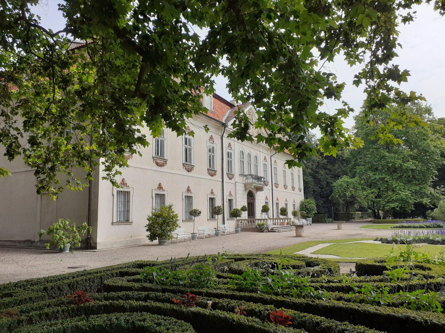 Gmina Nieborów - Park i Pałac