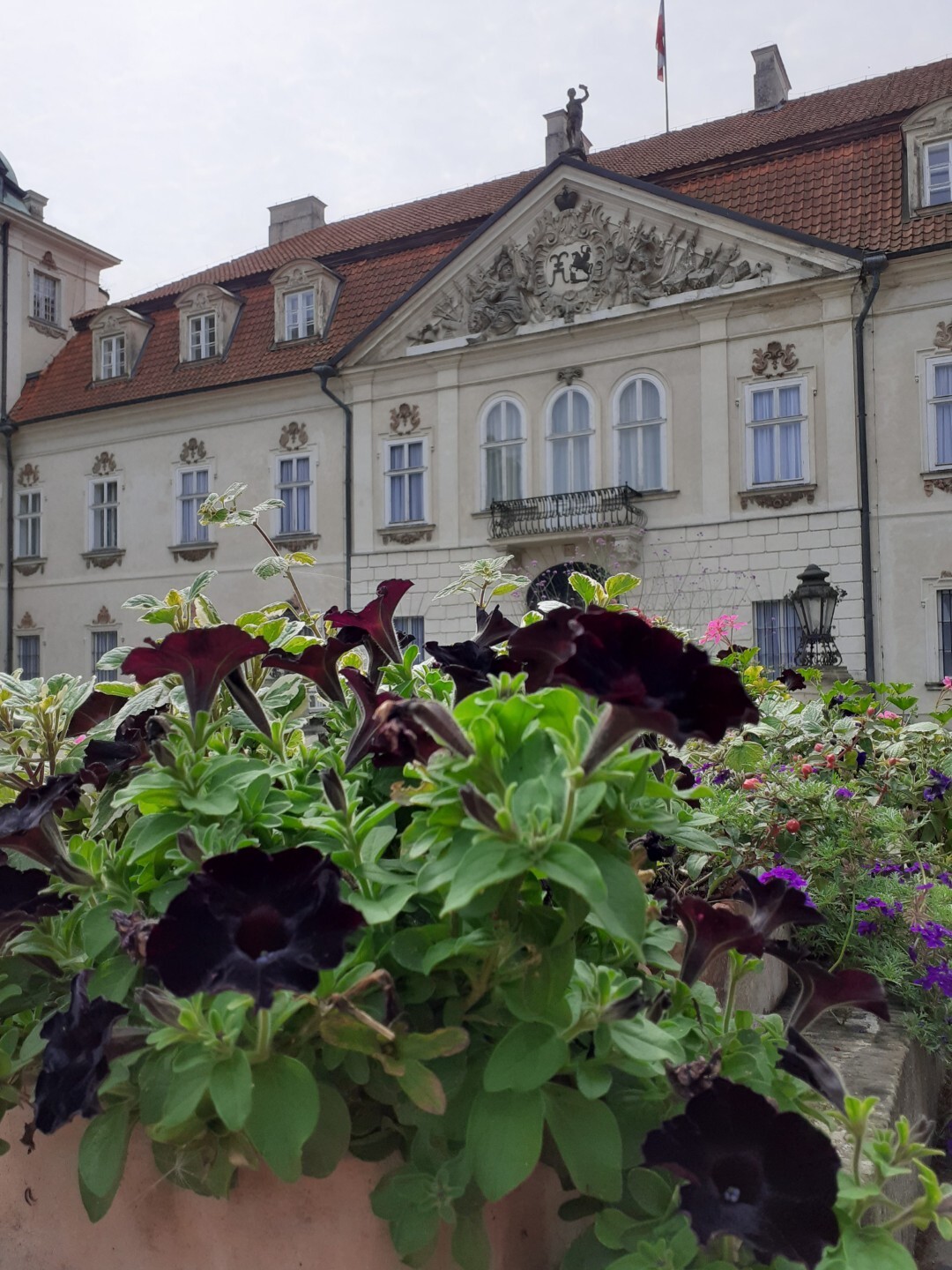 Gmina Nieborów - Park i Pałac