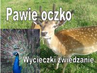 "Pawie oczko" Gospodarstwo agroturystyczne